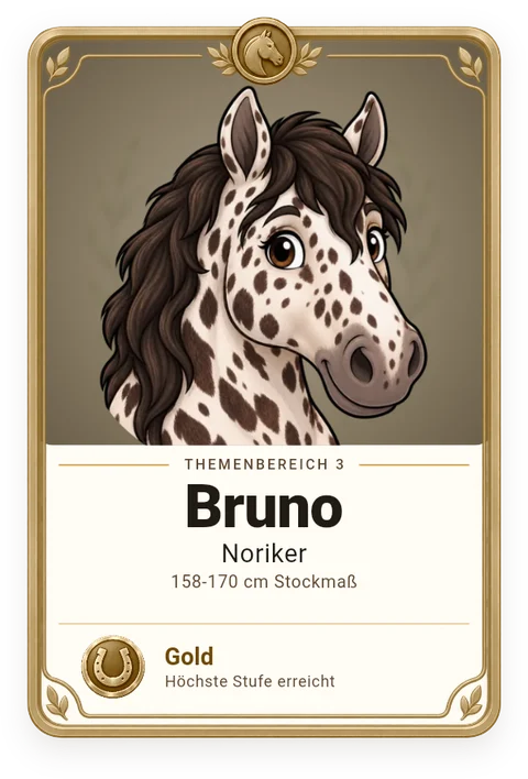 Sammelkarte Bruno, Noriker
