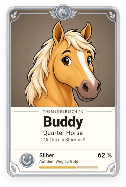 Sammelkarte Buddy, Quarter Horse