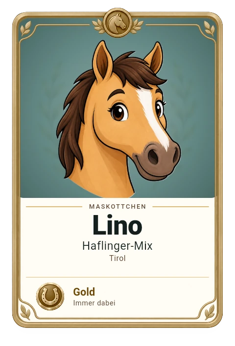 Sammelkarte Lino, Haflinger-Mix