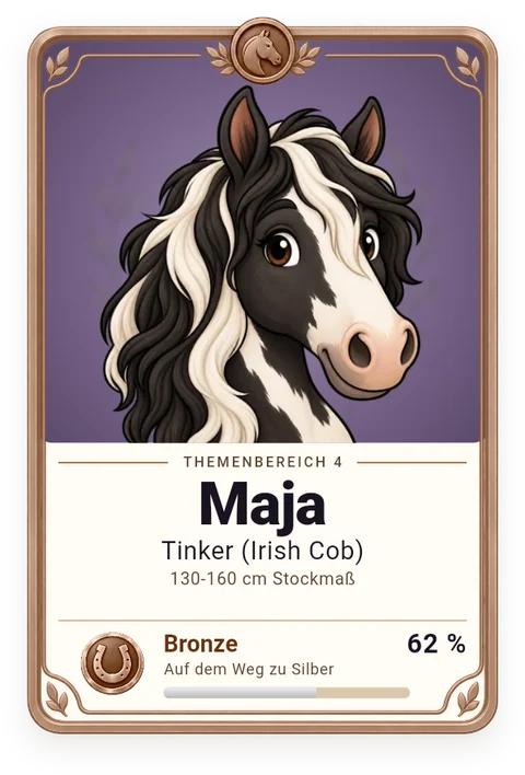 Sammelkarte Maja, Tinker (Irish Cob)