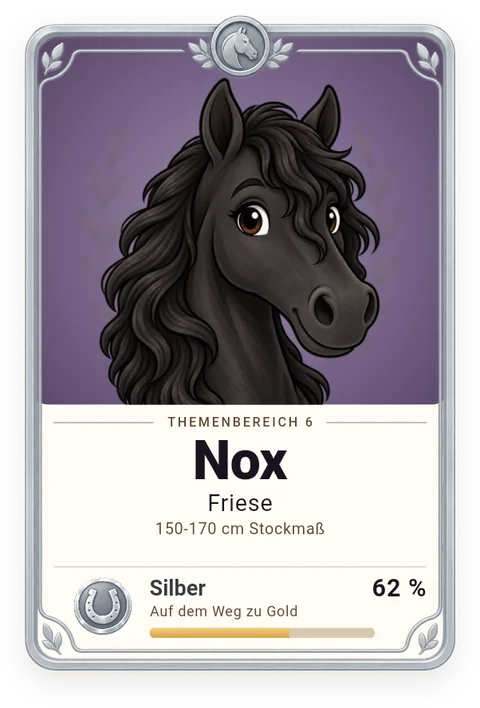 Sammelkarte Nox, Friese