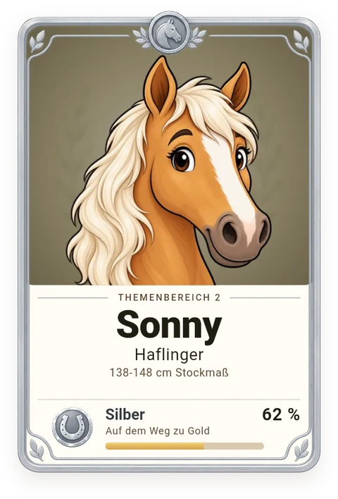 Sammelkarte Sonny, Haflinger