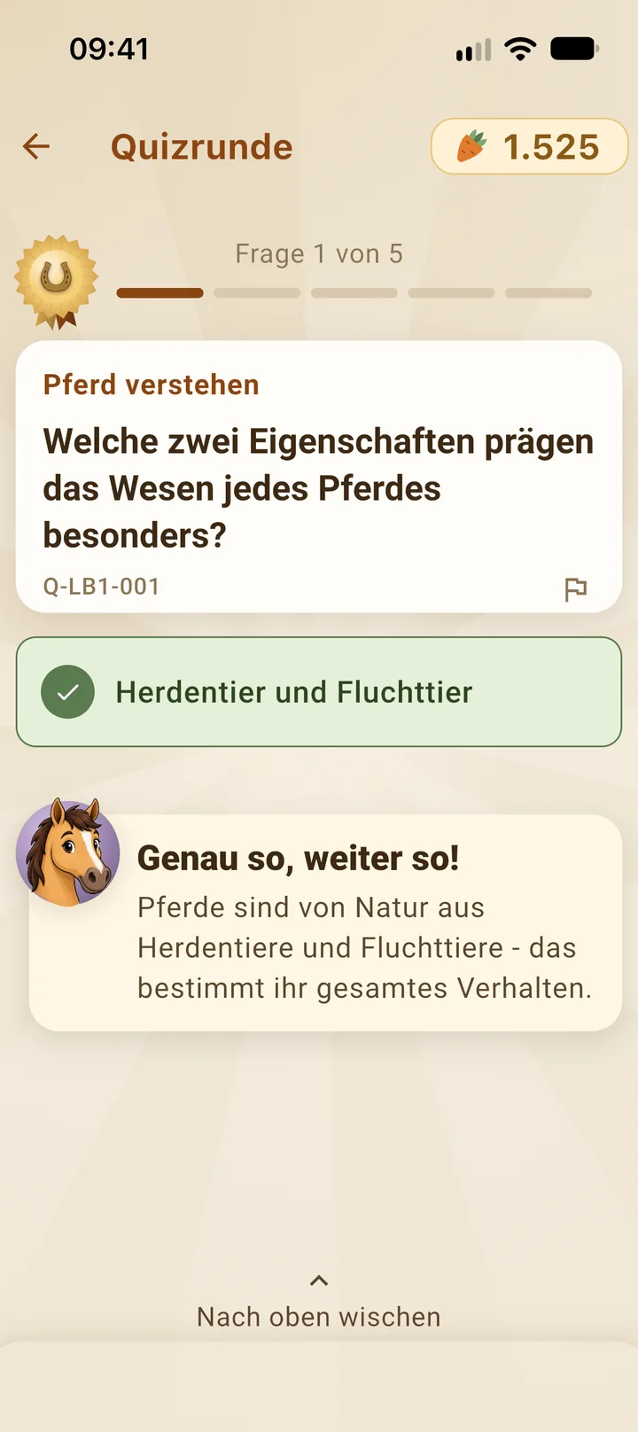 Lino erklärt die richtige Antwort